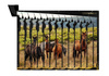 Hucha de pared I Caballos I Si amas a los animales, lo quieres