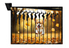 Spradose I Dog I Gift for every animal lover