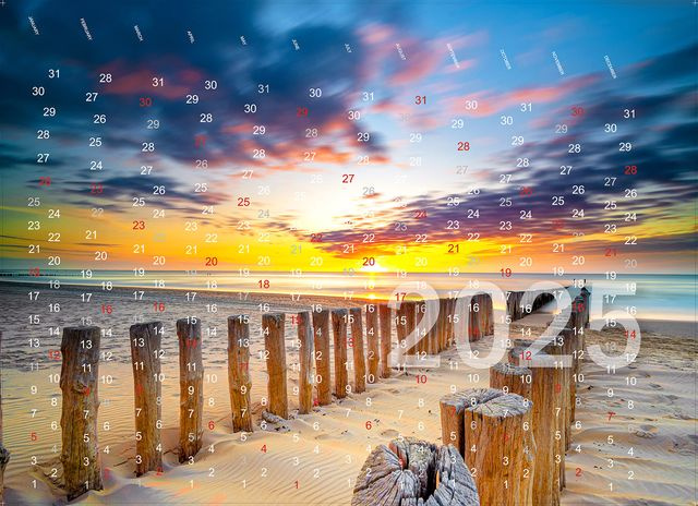 Background wall money box | Calendar 2025 Sea