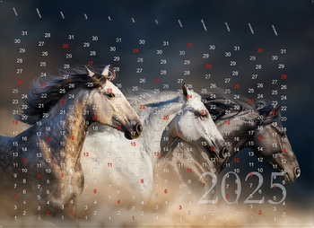 Fondo hucha pared | Calendario 2025 Caballos