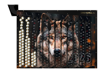 Kalender 2026 Wolf | Einzigartiger Wandkalender und Spardose für Münzen