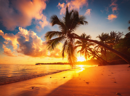 Hintergrund Wandspardose | Sonnenuntergang