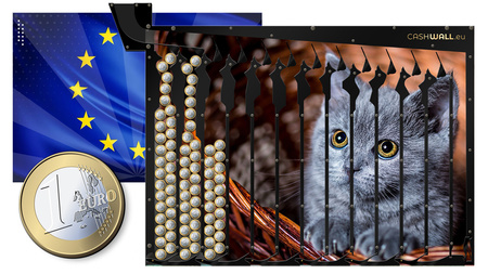 Spaarvarken | kitten | perfect cadeau-idee voor kattenfans