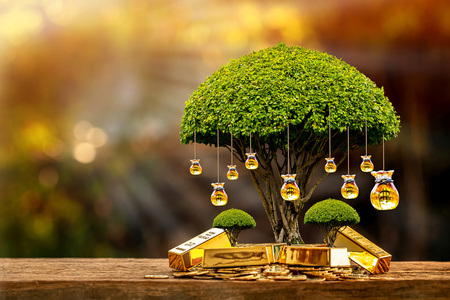 Boîte murale décorative | arbre d'or