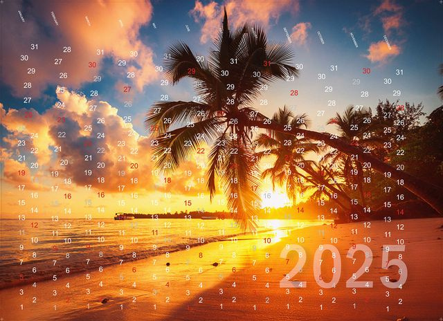Fono sieninė pinigų dėžutė | Kalendorius 2025 valstybinių švenčių
