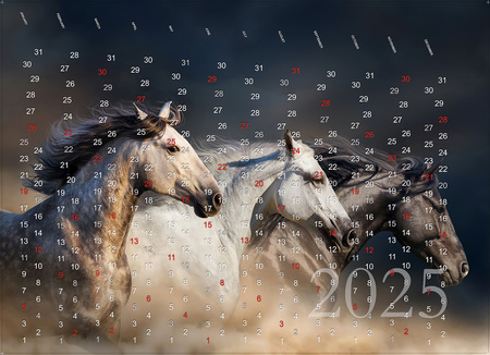 Fondo hucha pared | Calendario 2025 Caballos