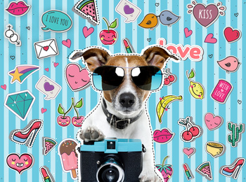 Tło do skarbonki - Pies