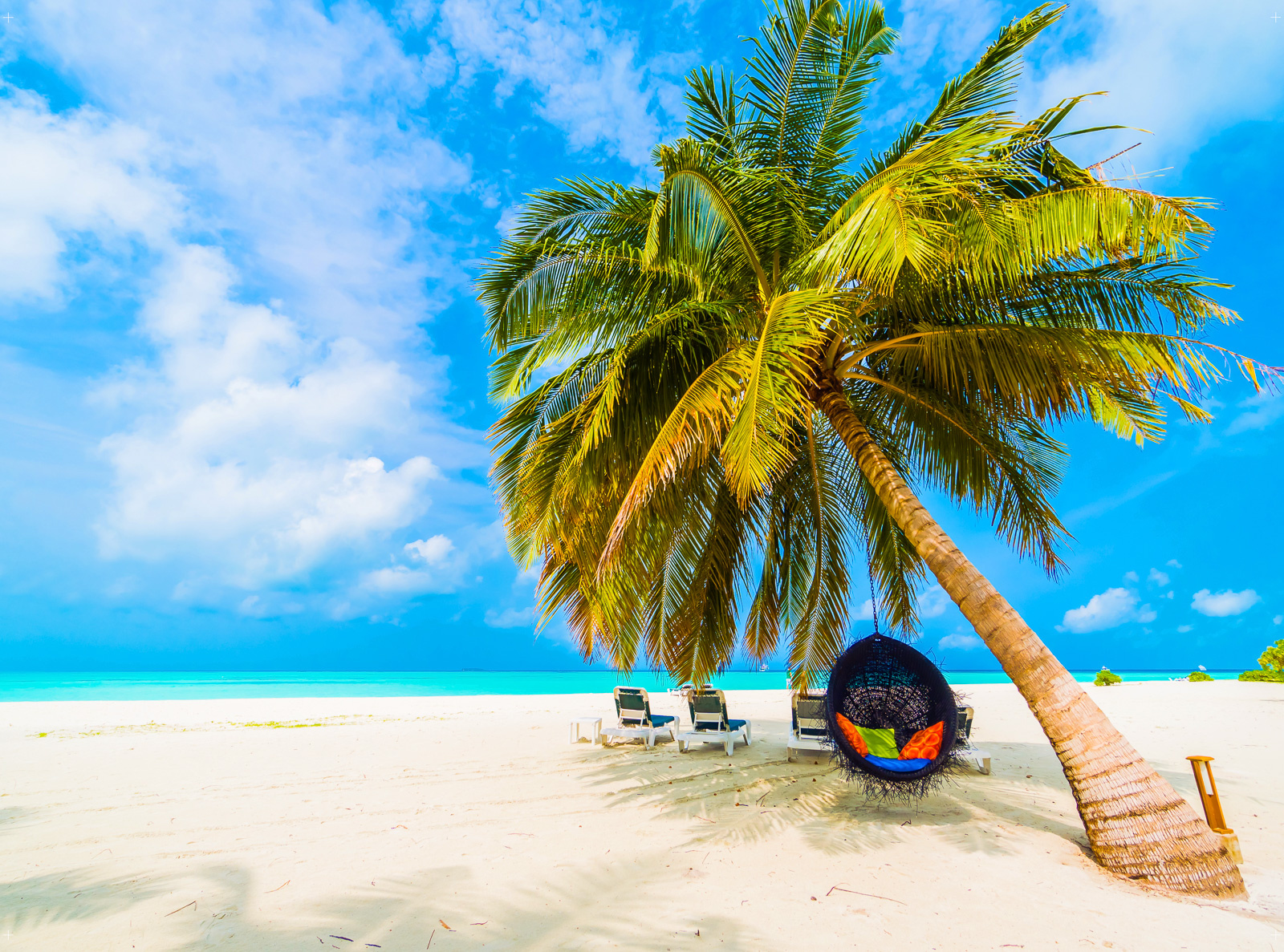 Poster di ricambio per Cashwall – Maldive