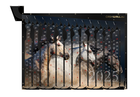 Calendario 2025 Cavalli | Calendario regalo con cavalli