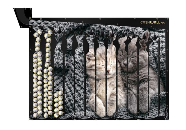 Wall money box I Cats I If you love animals, you want it