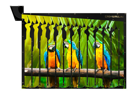 Wall money box | Parrot | Perfect gift for any occasion